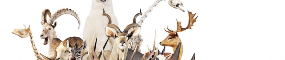 聖書の読み方「我々に似せて・人とは？」（聖書神学）