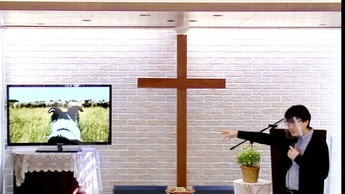 グッド　シェパード